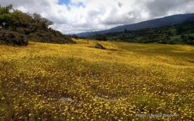 Edgewood Park & Natural Preserve